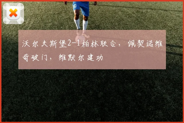 沃尔夫斯堡2-1柏林联合，佩契诺维奇破门，维默尔建功